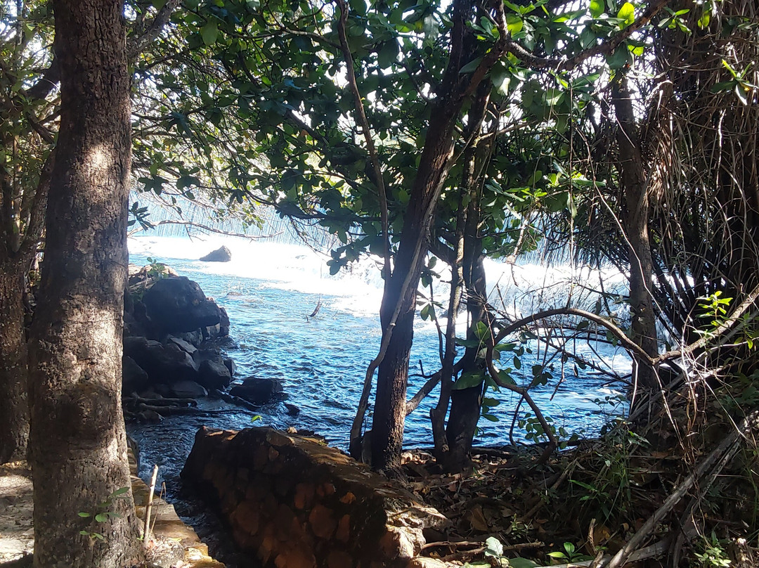 Chishimba Falls-Kasama必去景点