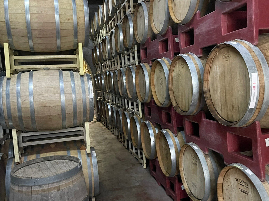 Bodega RGMX景点图片