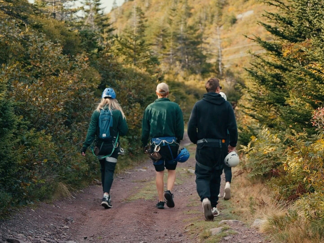 North Atlantic Ziplines-圣约翰必去景点