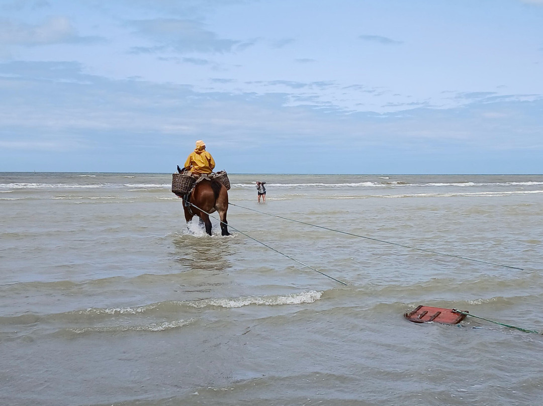 Paardevissers in Oostduinkerke-东代恩凯尔克必去景点