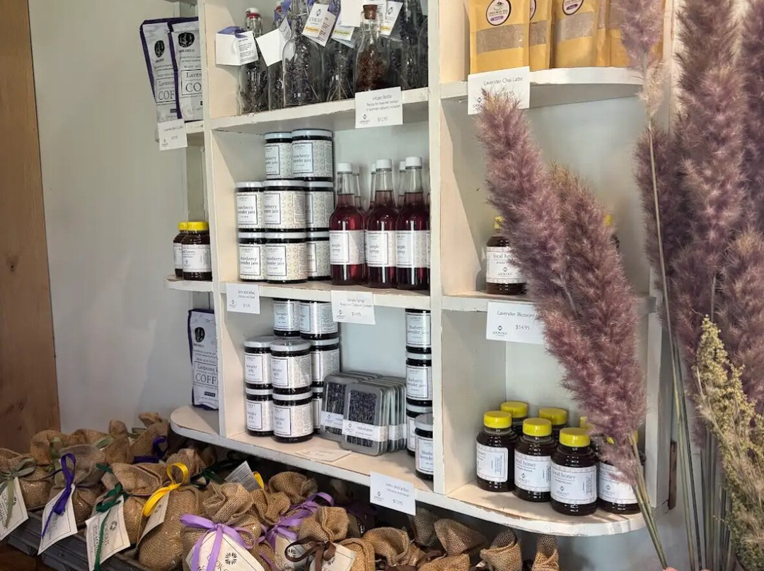 Lookout Lavender Farm-Rising Fawn必去景点