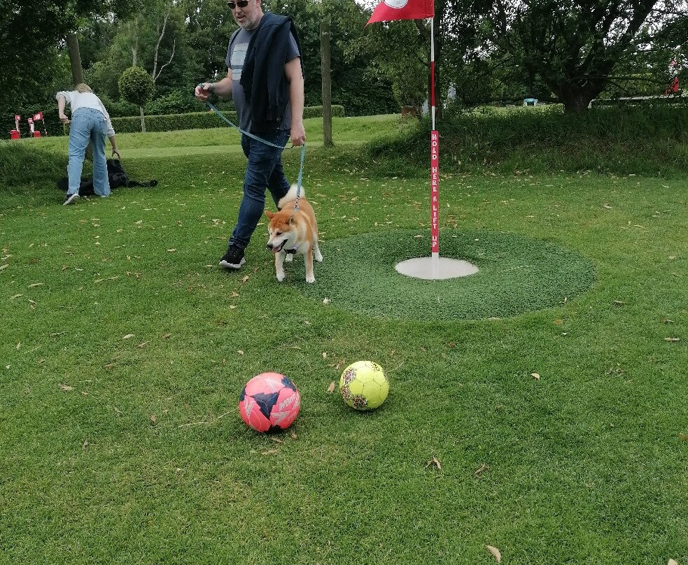 Cornwall FootballGolf Park-圣奥斯特尔必去景点