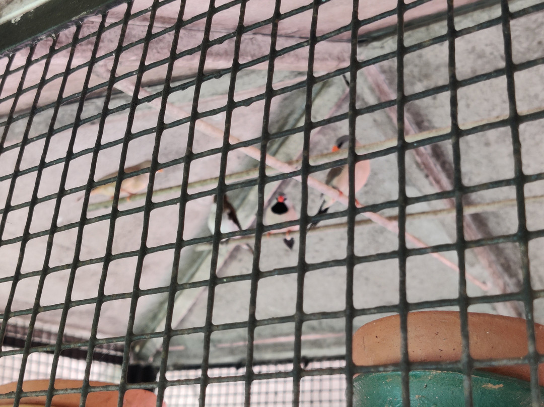 Lazy Frog Guest House主图