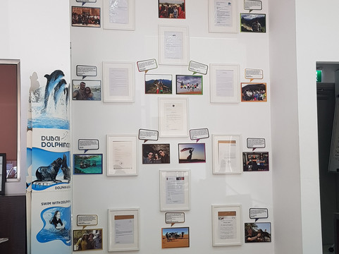 City One Tourism & Travel L.l.c-迪拜必去景点