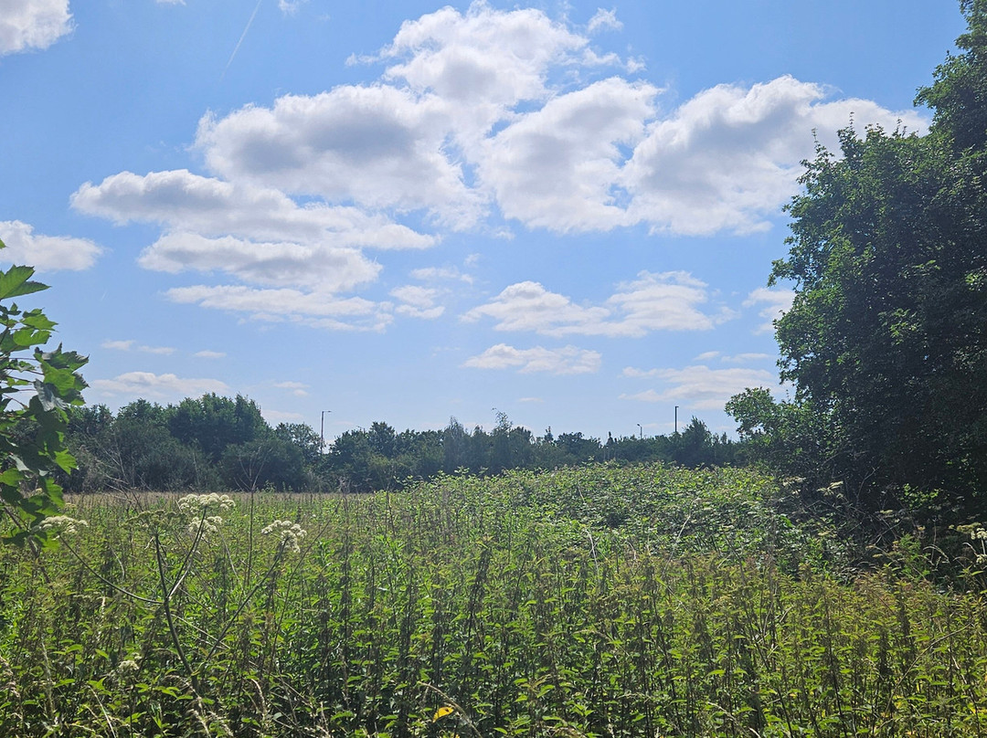 Brent Reservoir (Welsh Harp) Canalside-伦敦必去景点