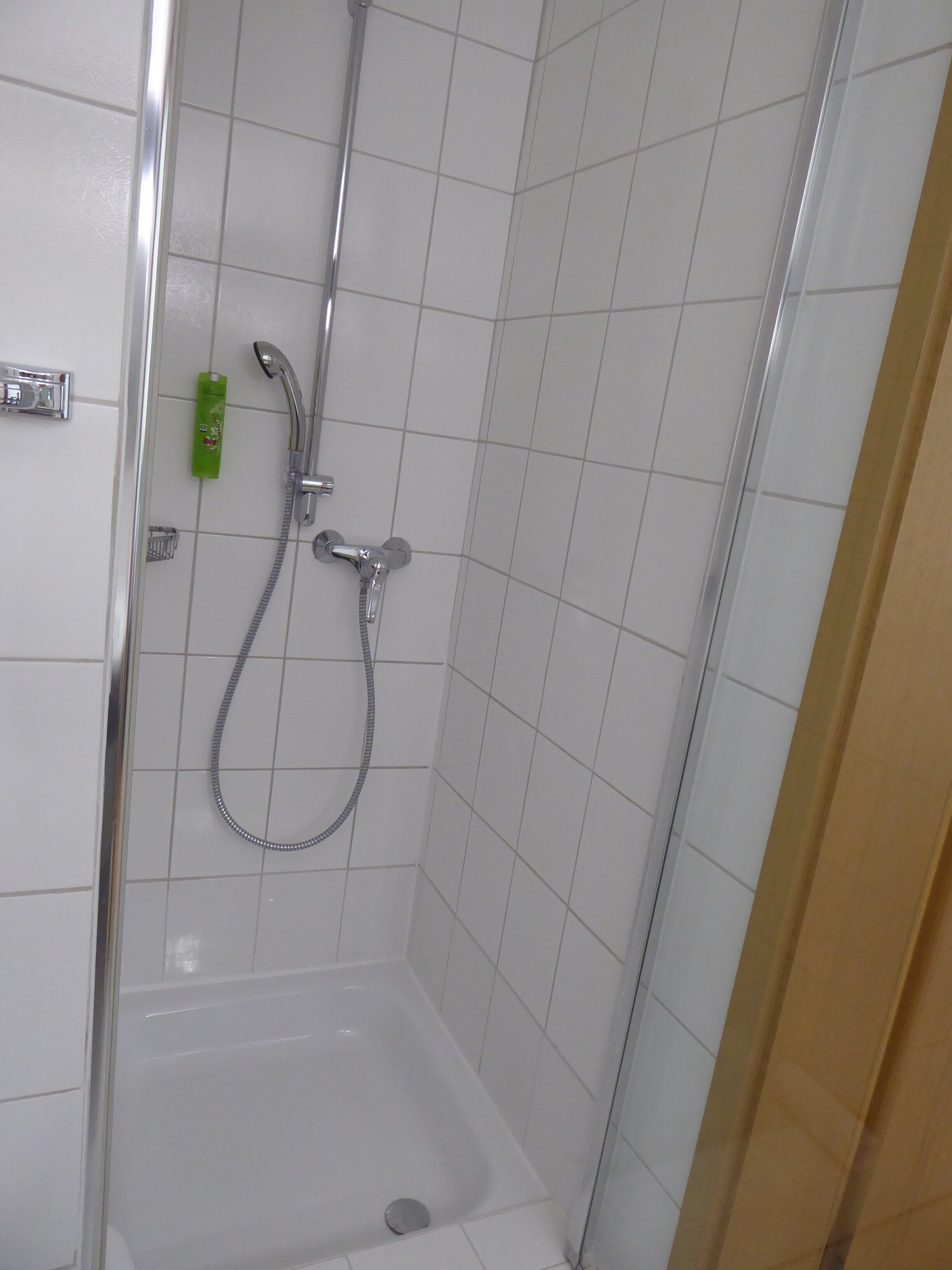 Hotel am Hochrhein-浴室