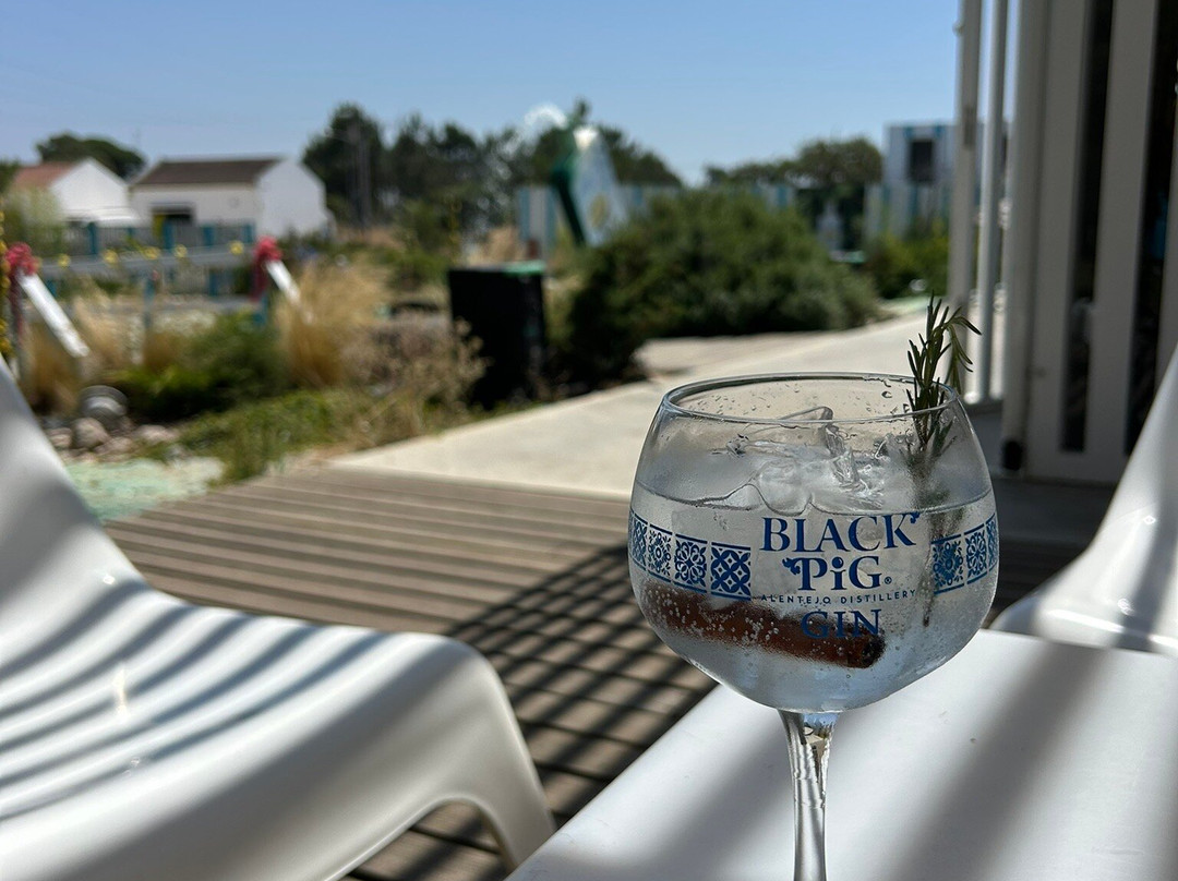 Black Pig Gin-Santiago do Cacem必去景点