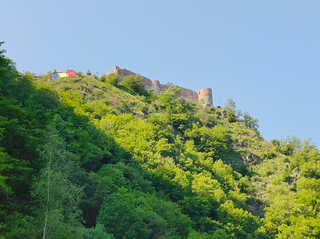 Poienari Castle-Arefu必去景点