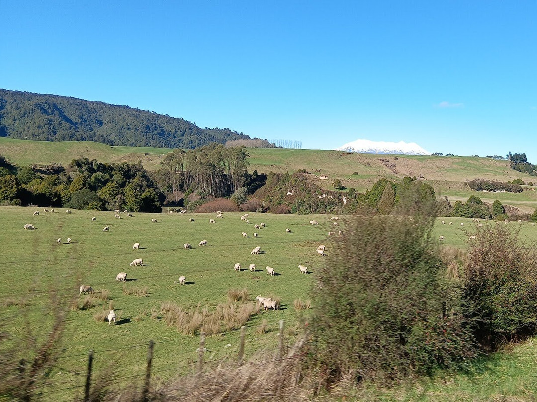 Great Journeys New Zealand景点图片