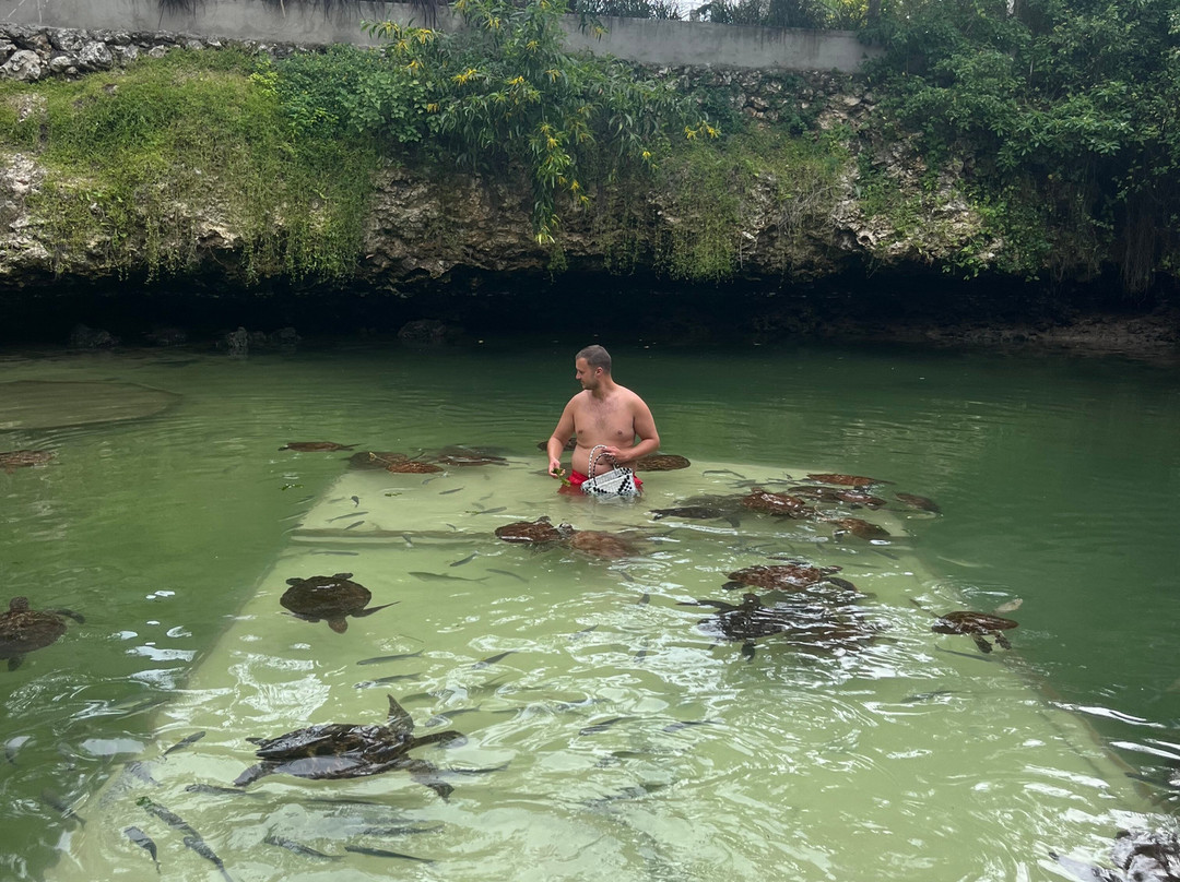 Zanleisuretours & Safaris-桑给巴尔市必去景点