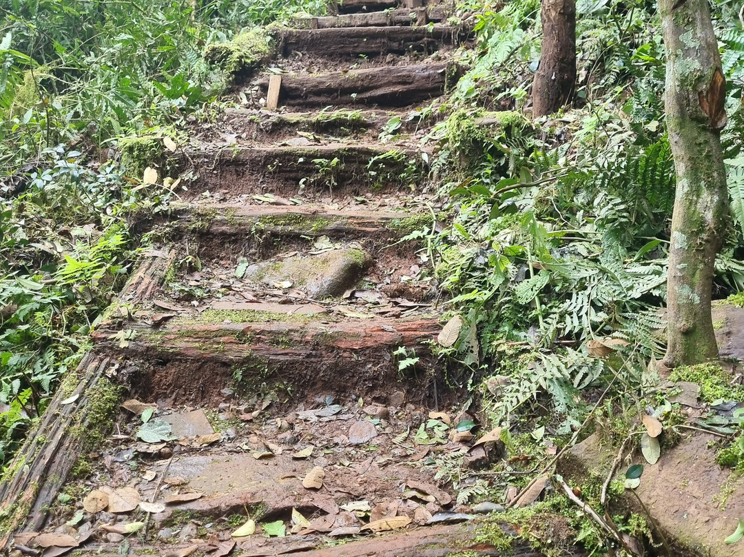 Los Saltos del Mocona-Province of Misiones必去景点