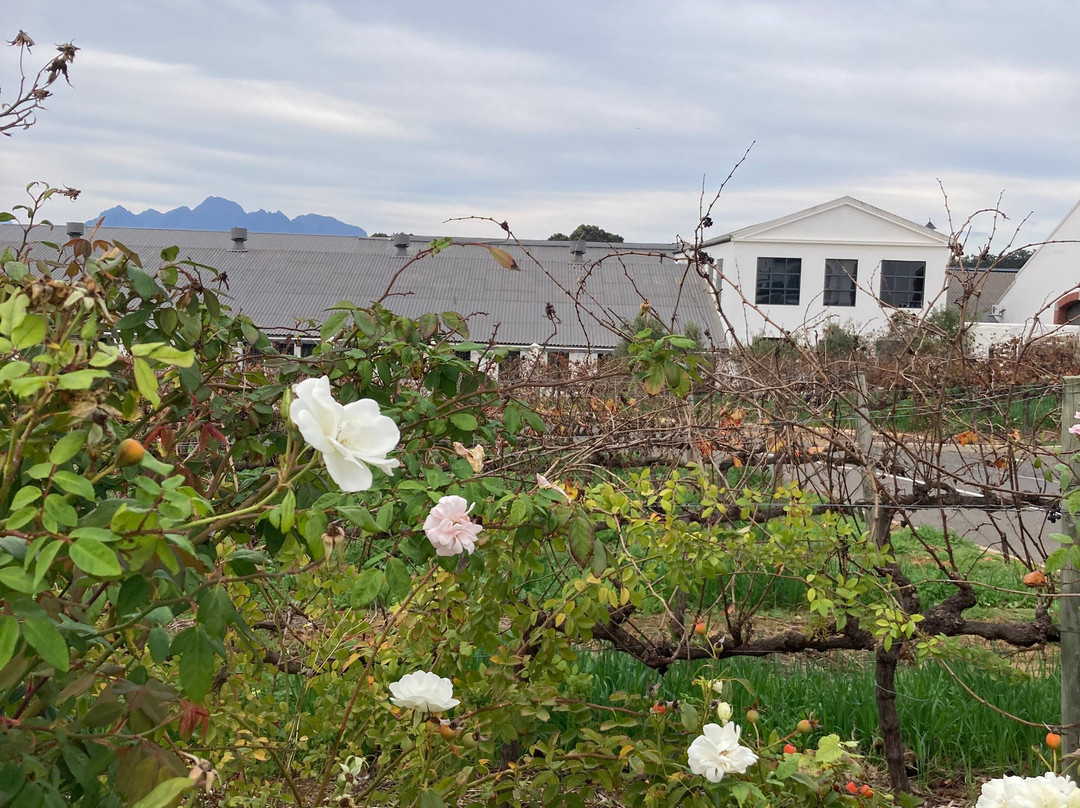 House of J.C. Le Roux-斯泰伦博斯必去景点