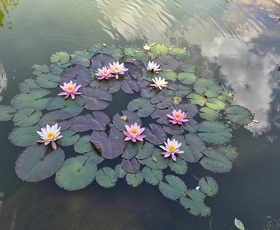 Wildpark Assling-Oberassling必去景点