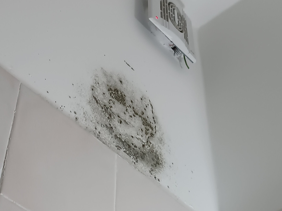 Hotel Il Piccolo Pardiso Hotel主图