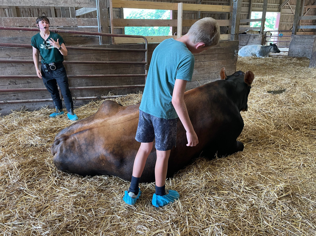 Farm Sanctuary-沃特金斯格伦必去景点