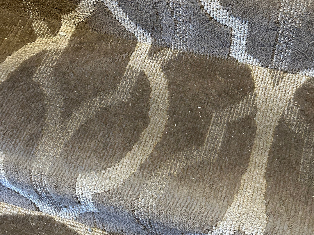 Comfort Inn & Suites Gunnison - Crested Butte主图