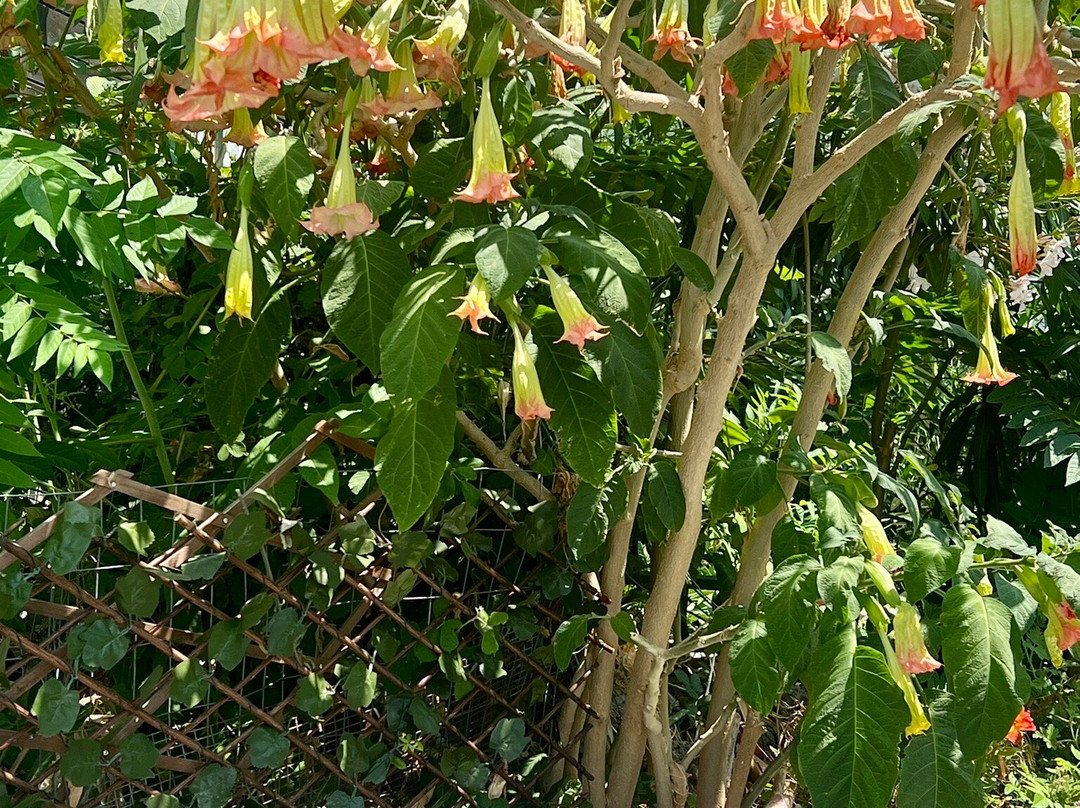 Monastery of Myrtiotissa-Vatos必去景点