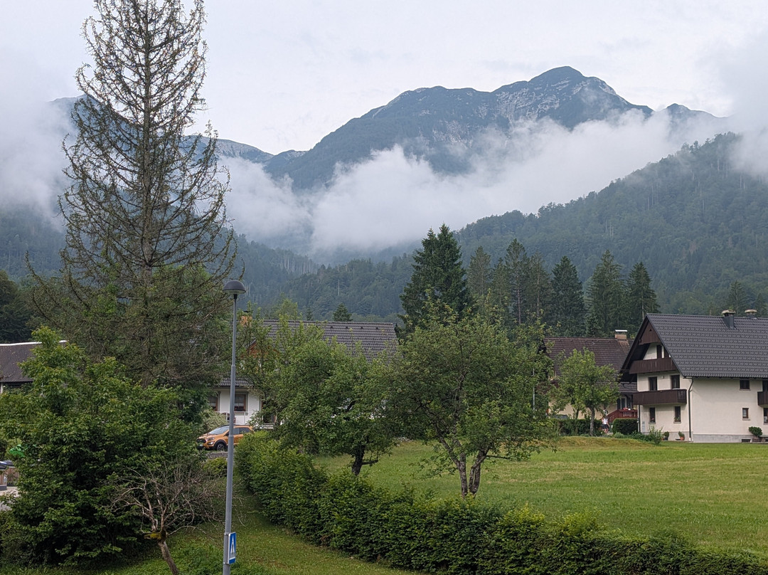 Hotel Gasperin Bohinj主图