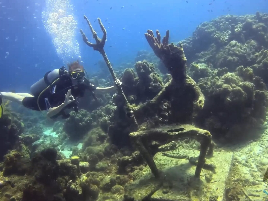Sublime Diving Curacao-威廉斯塔德必去景点