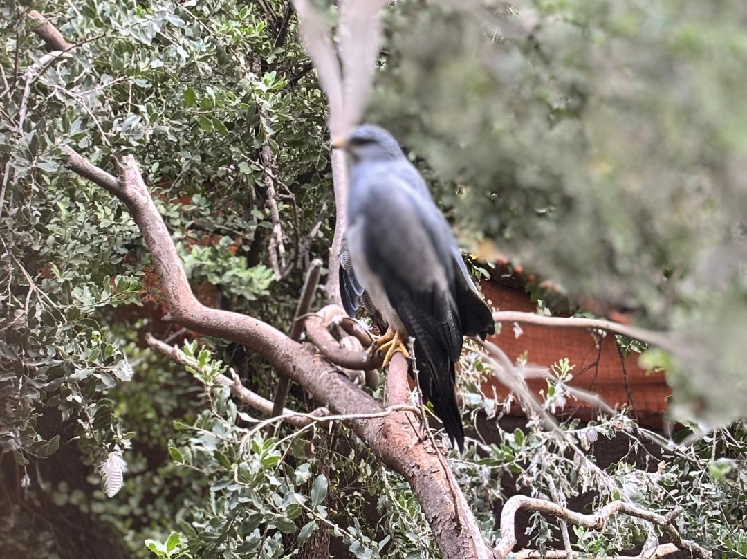 Refugio Animal Cascada-圣若泽迈坡必去景点