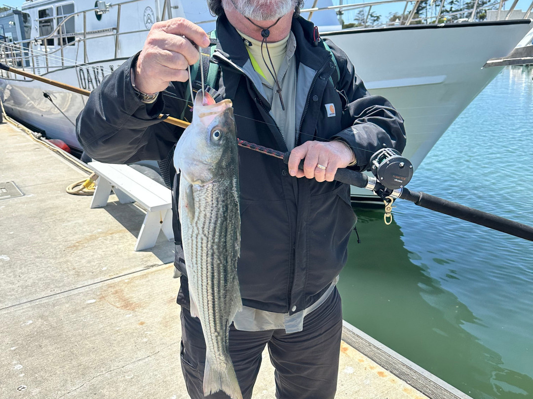 Fish Emeryville-埃默里维尔必去景点