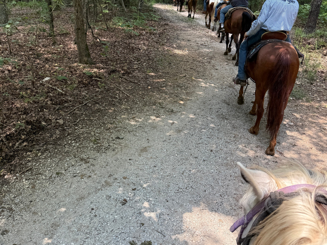 OK Trading Post-山景城必去景点