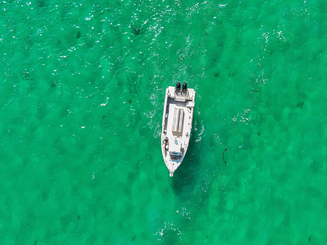 Vedettes des Abers-Landeda必去景点