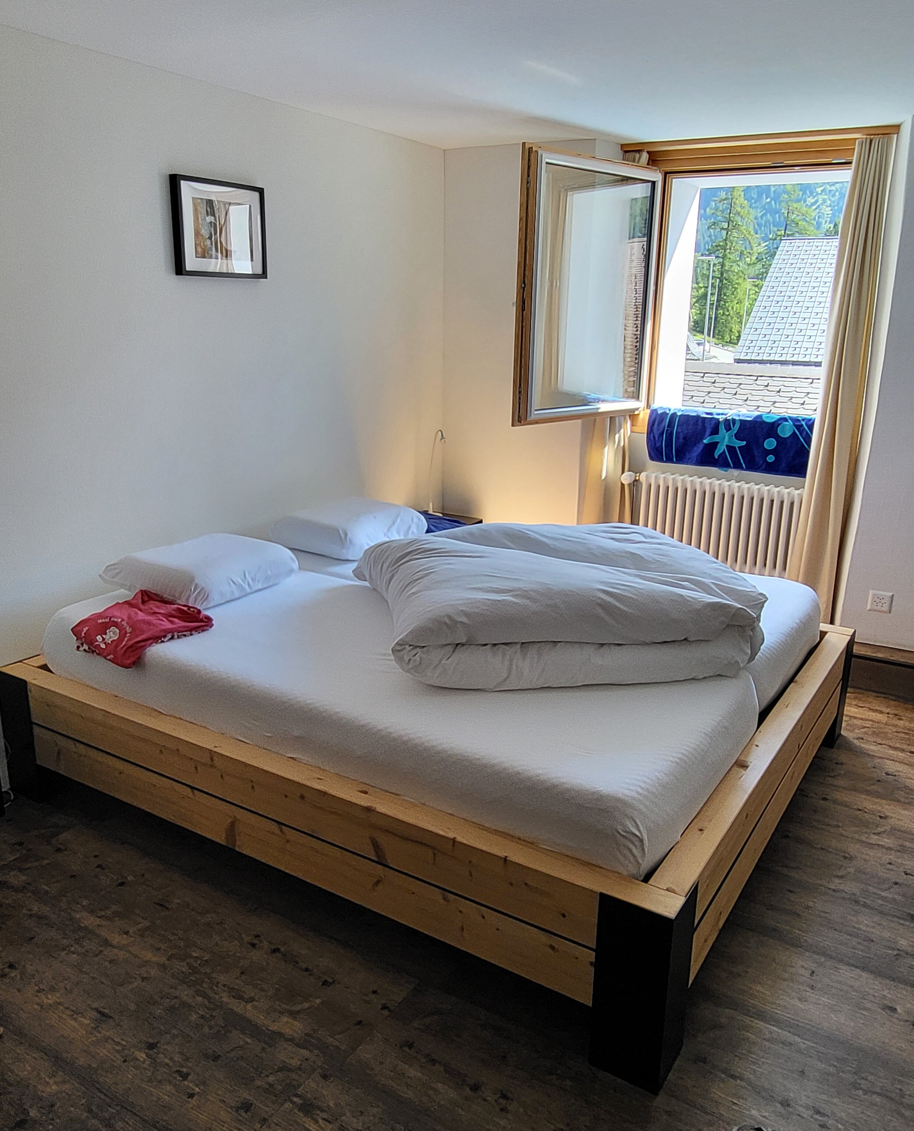 Hotel Furka AG-客卧