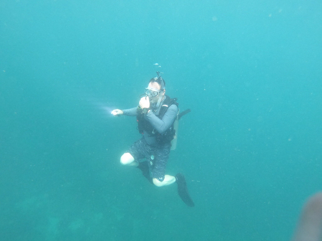 Dressel Divers Puerto Vallarta-蓬塔米塔必去景点