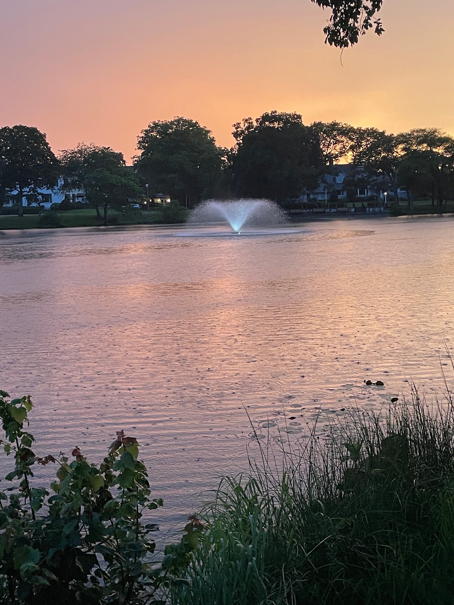 The Ocean House-官方