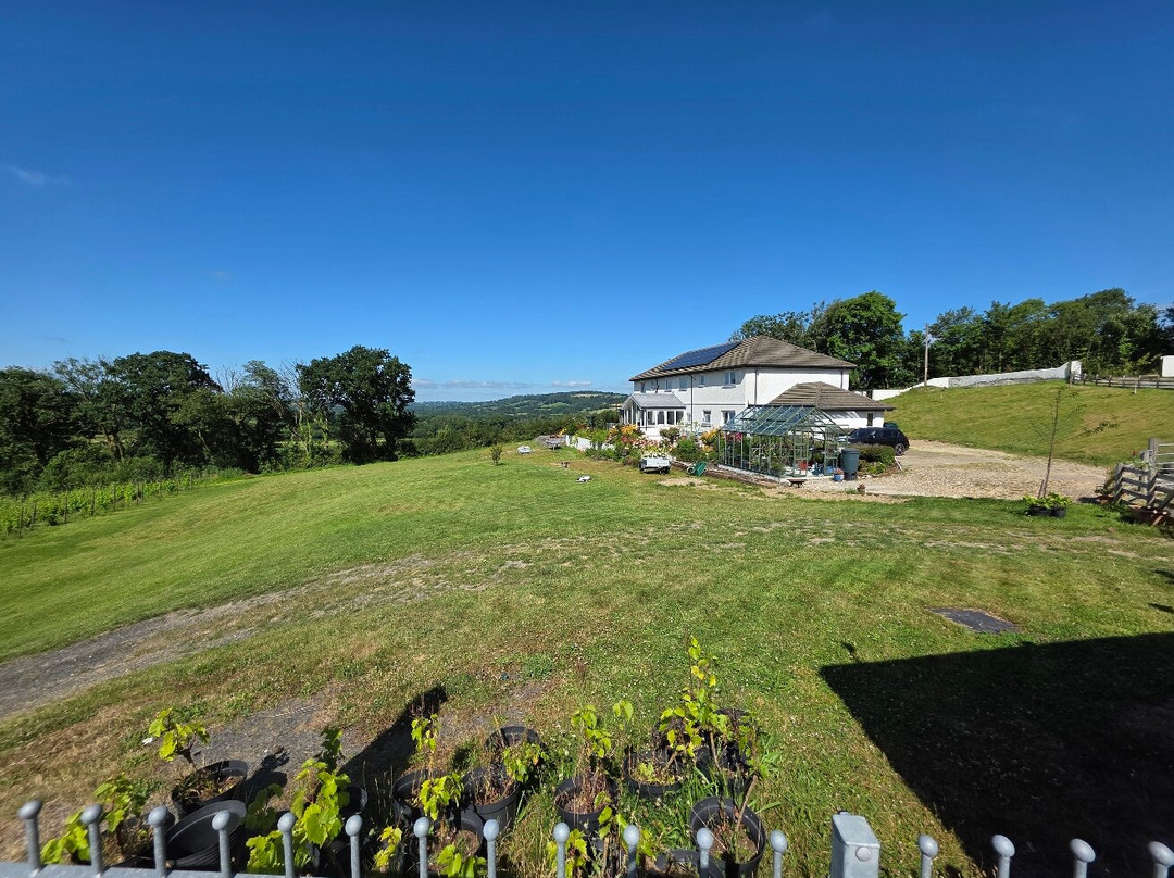 Velfrey Vineyard-Lampeter Velfrey必去景点