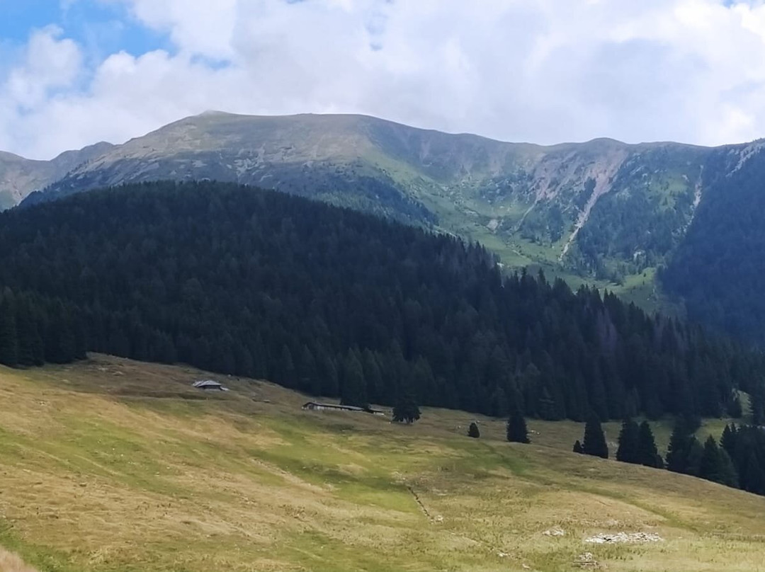 Bio Hotel Brusago Vital & Wellness主图
