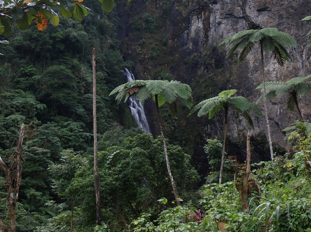 Savulelele Waterfalls-拉奇拉奇必去景点