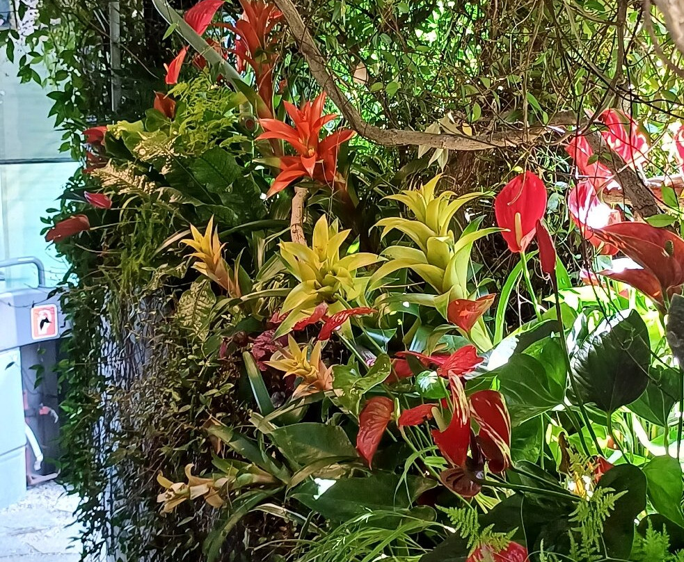 Bus Garden-切尔诺比奥必去景点