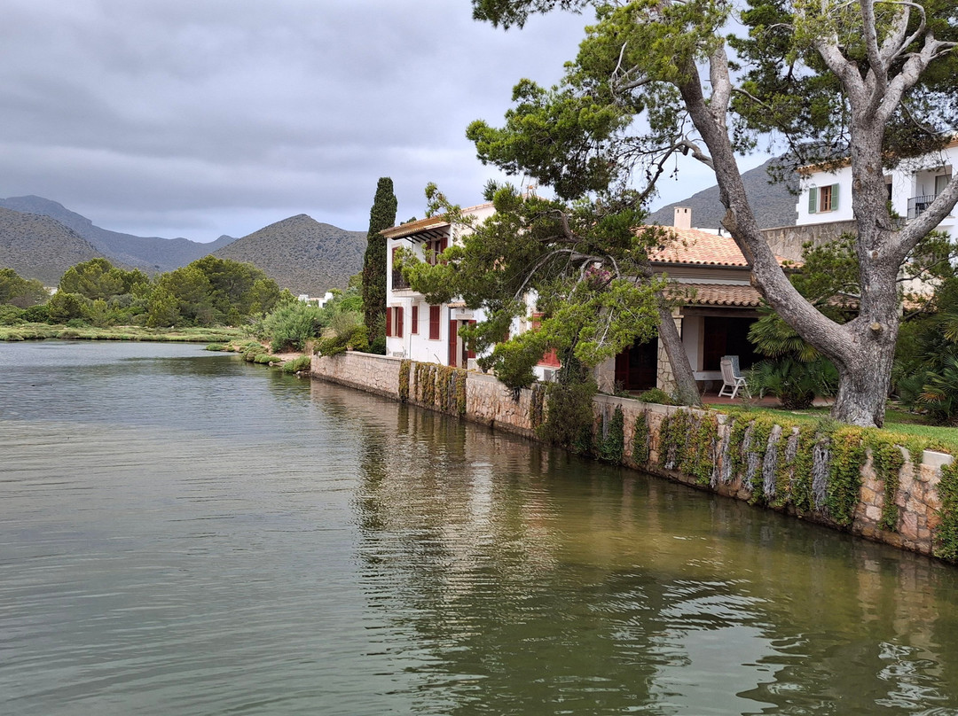 Playa del Puerto de Pollensa-波连萨必去景点