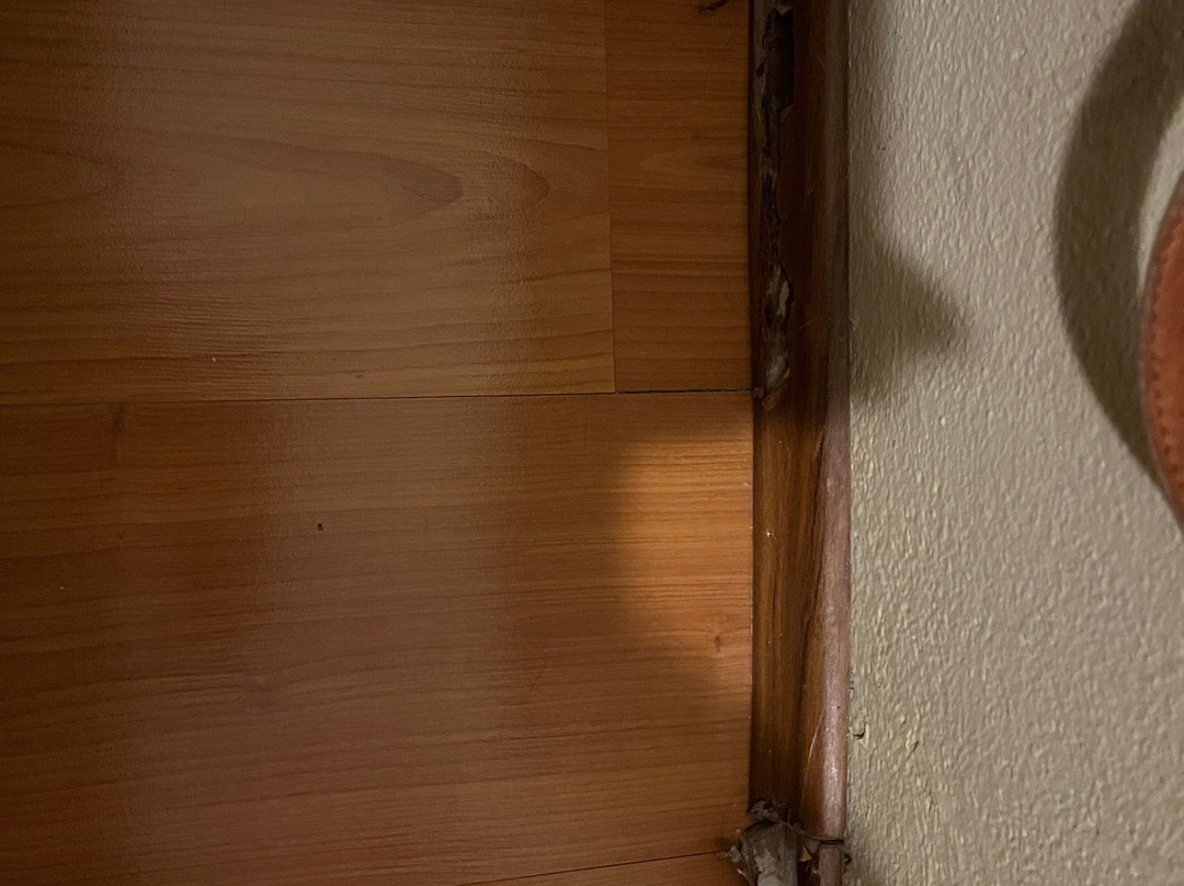 Heritage Hotel Pasike主图