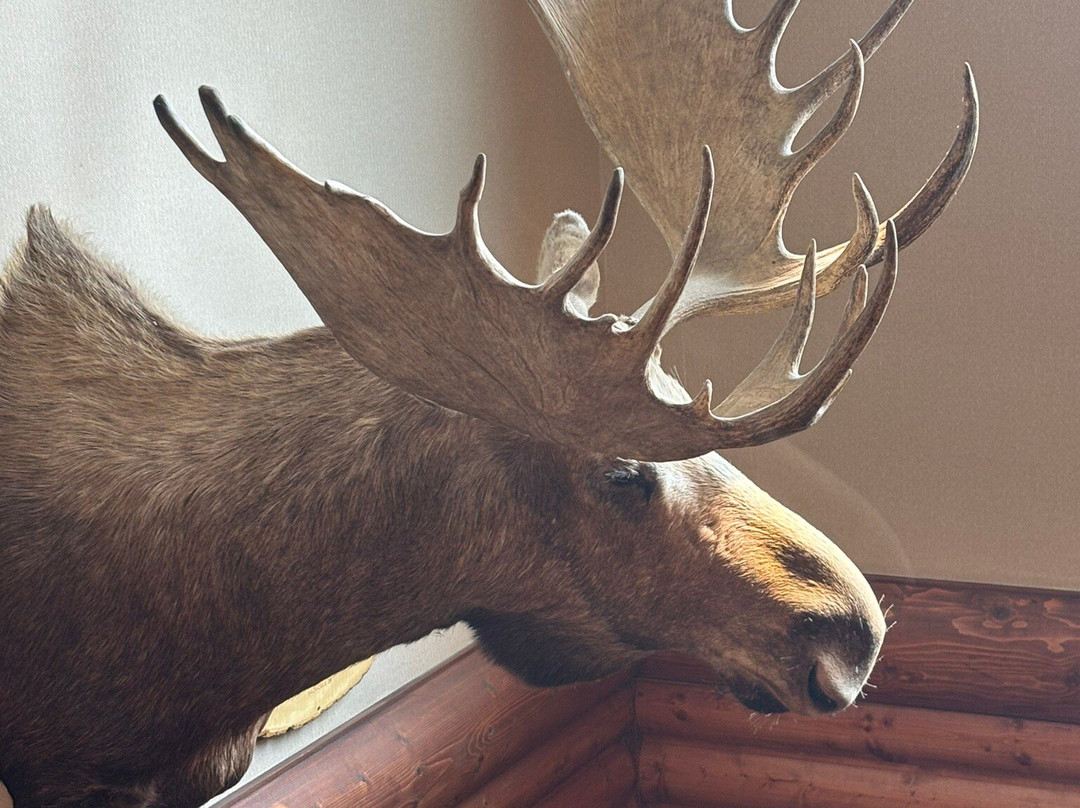 Cedar Creek Hotel And Conference Center主图