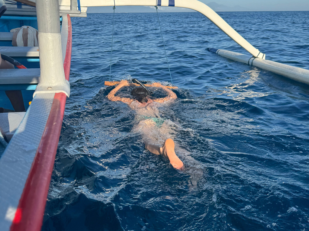 Lovina Dolphin Marine-Pemaron必去景点