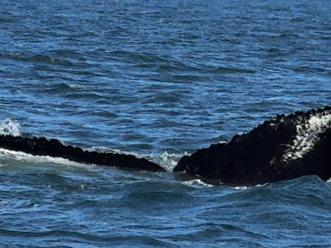 Tadoussac Autrement-泰道沙克必去景点