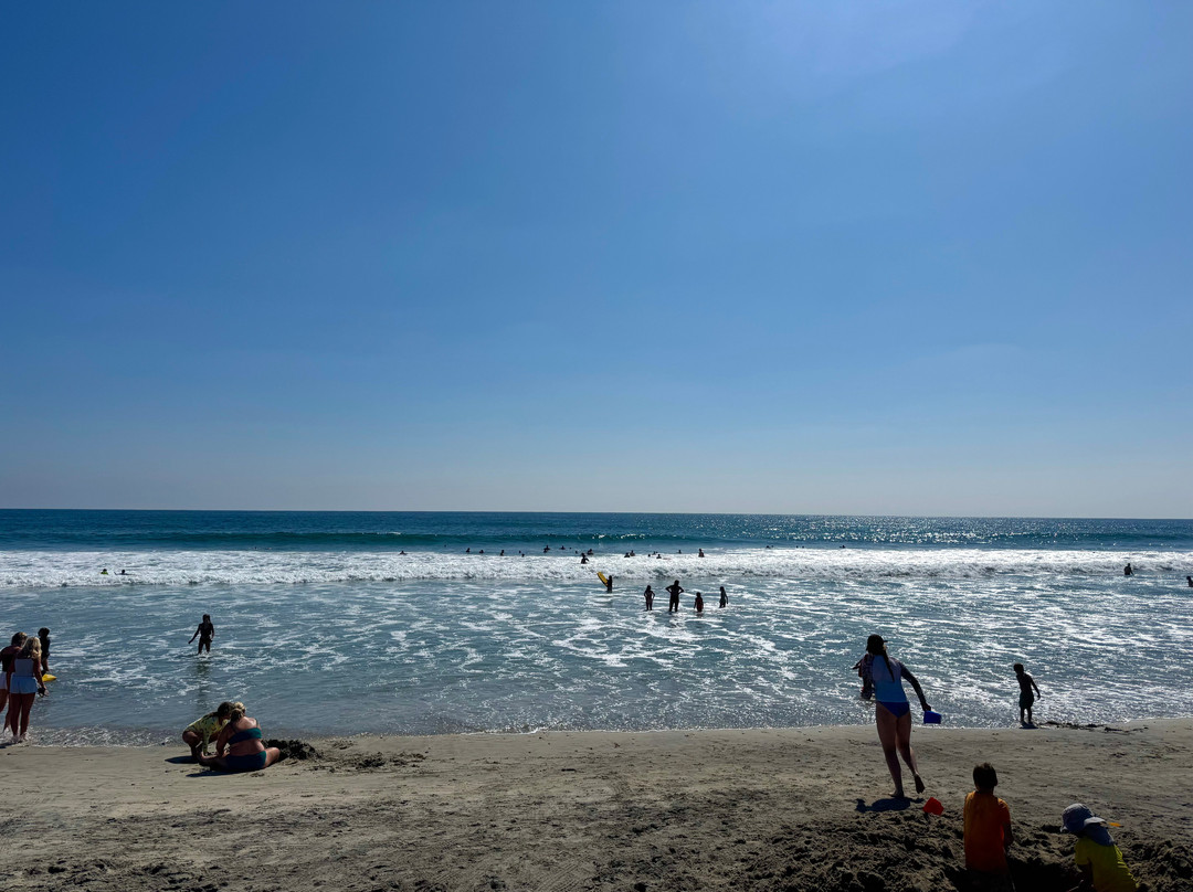 卡尔斯巴德州海滩-卡尔斯巴德必去景点