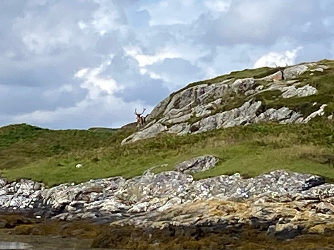 Lady Anne Wildlife Cruises-Grimsay必去景点
