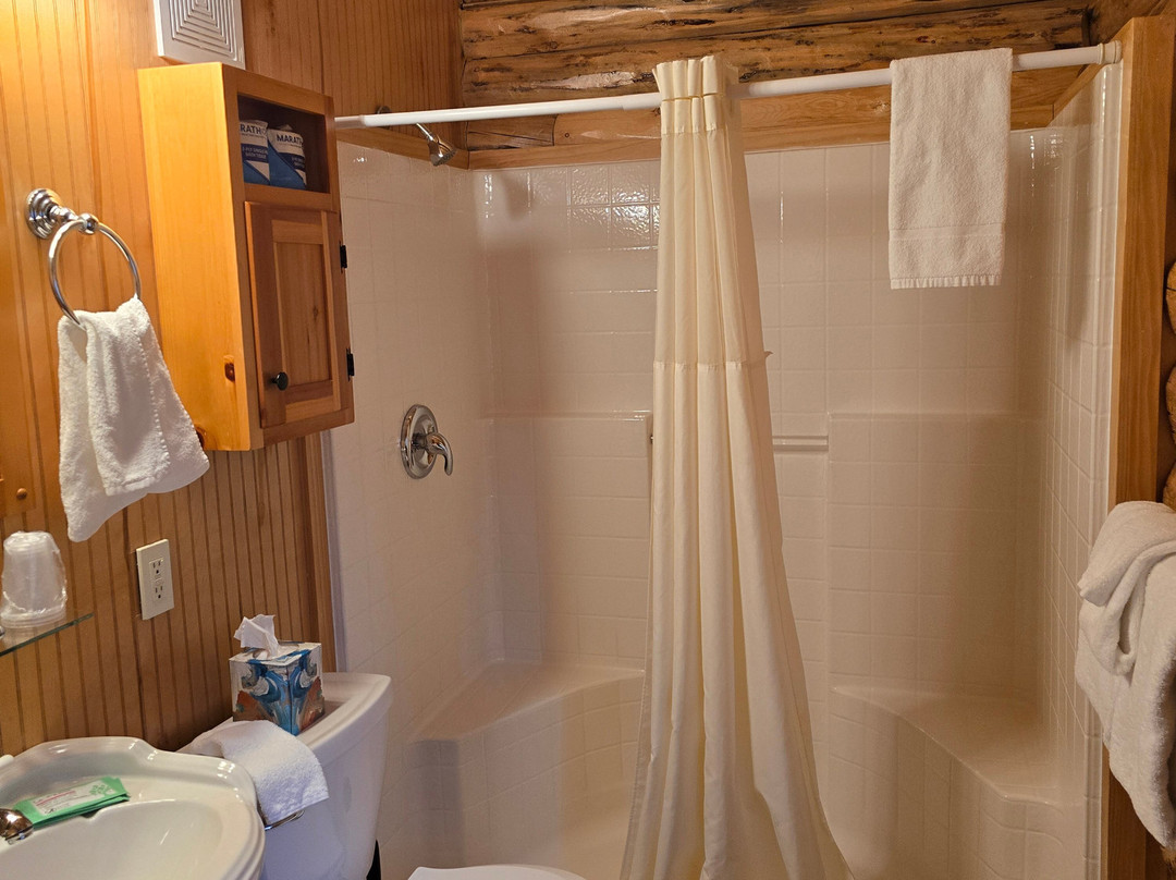 Silverwolf Log Chalet Resort主图