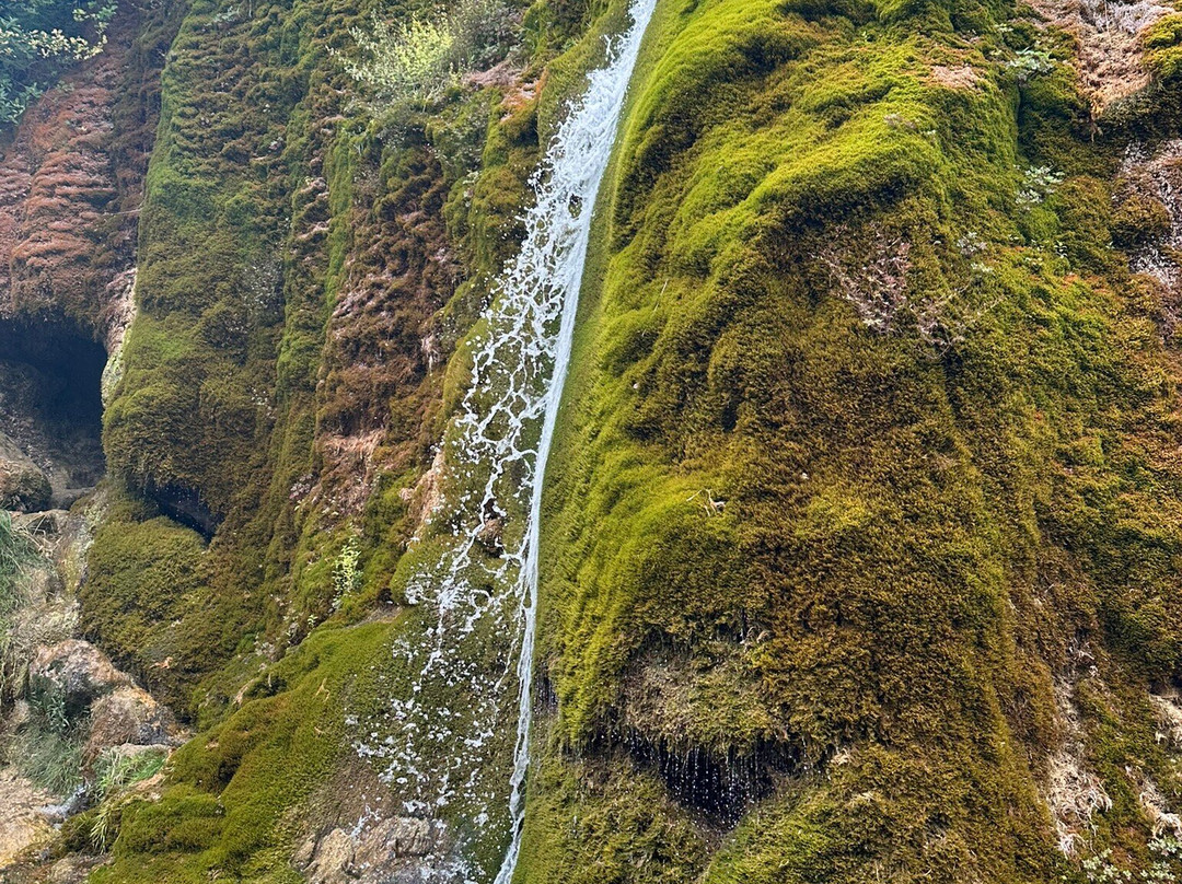 Wasserfall Dreimühlen-Uxheim必去景点
