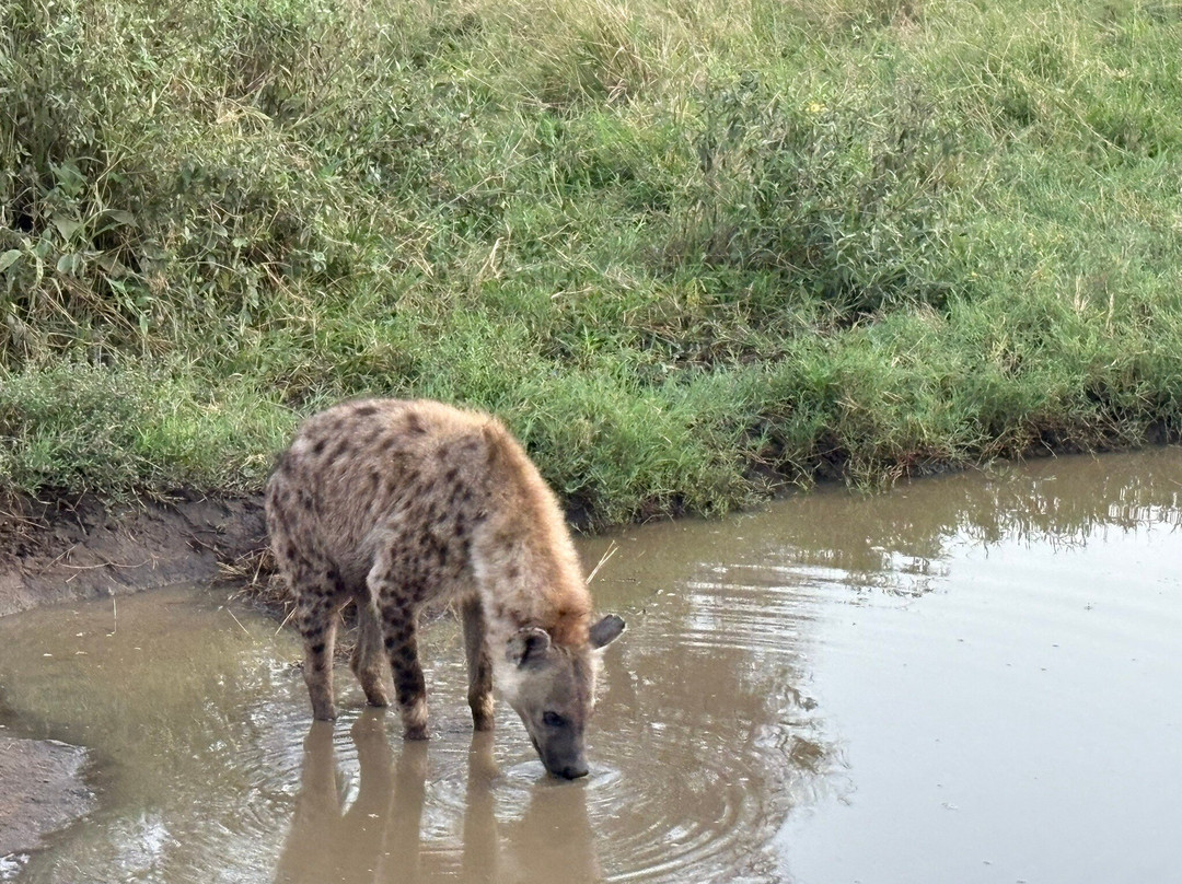 iTravel Safari & Expeditions-阿鲁沙必去景点