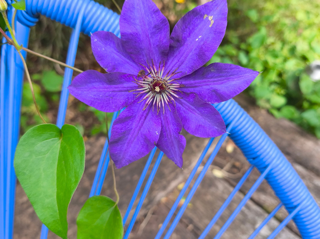 Jardin de la Ferriere