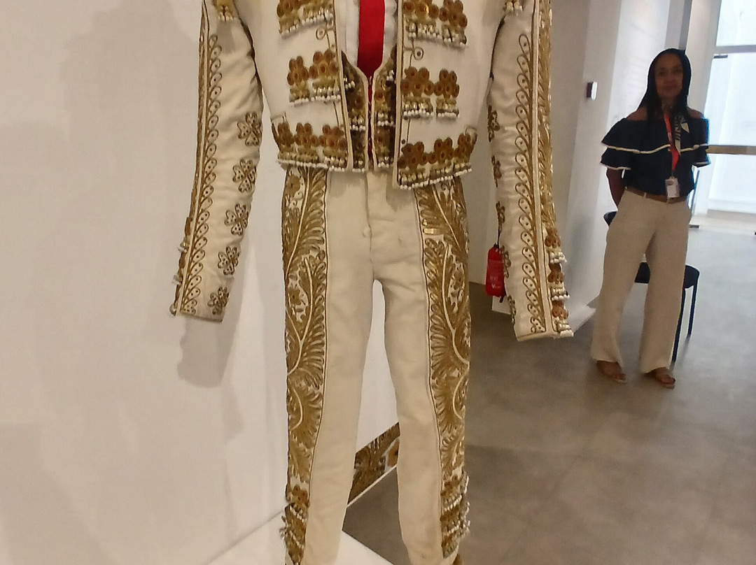 Musée des cultures taurines-尼姆必去景点