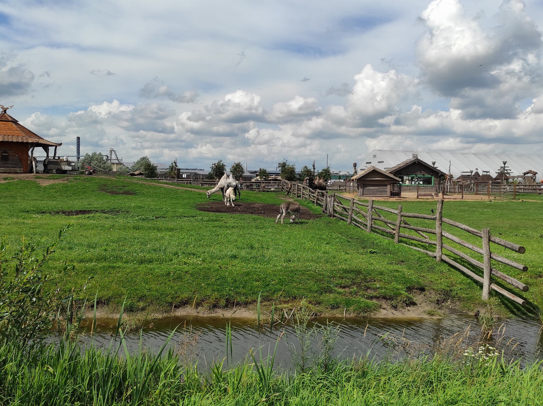 Animal Park-Baranovichi必去景点