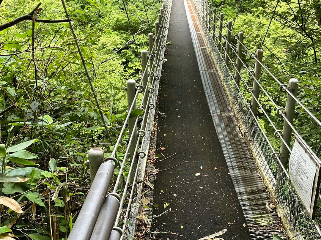 Daisen Fall-琴浦町必去景点