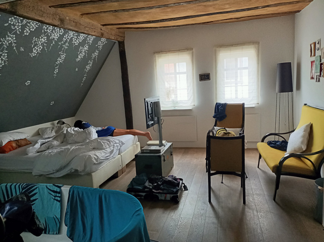 Die Traeumerei主图