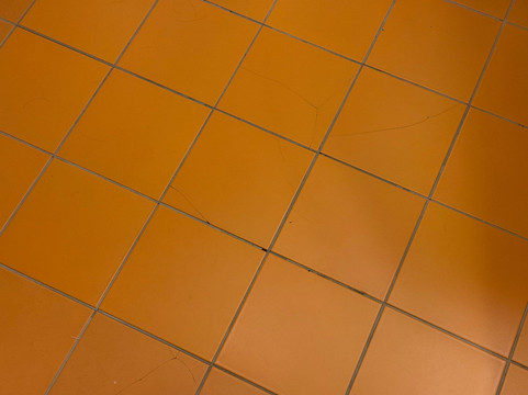 Hotel Der Waldhof主图